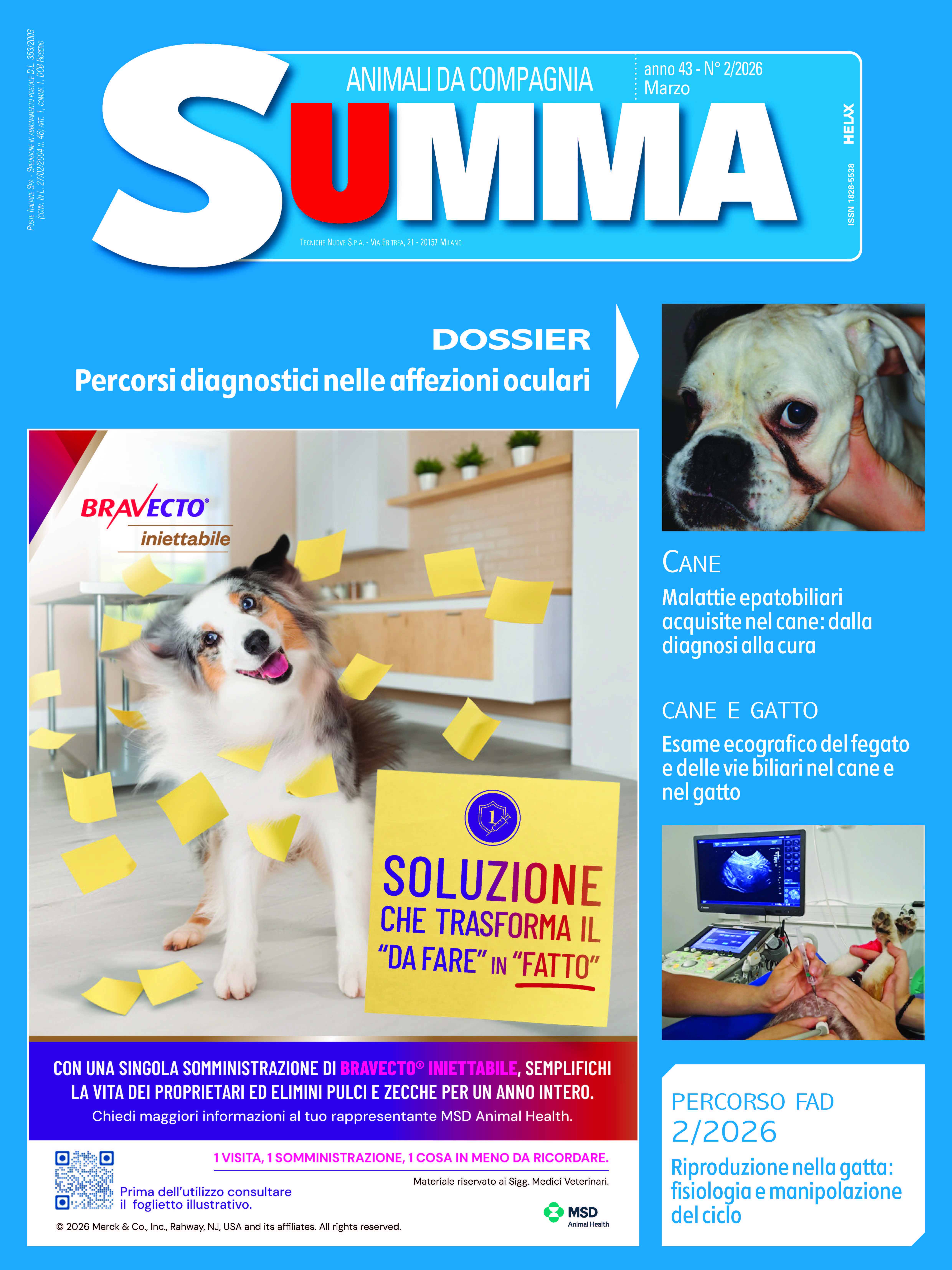 cover_smac_2.jpg